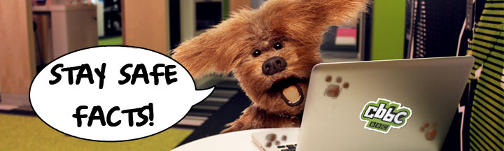 Stay Safe Facts Dodge on a laptop saying 'Stay Safe Facts!'
