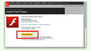 A screenshot of the Flash download webpage.