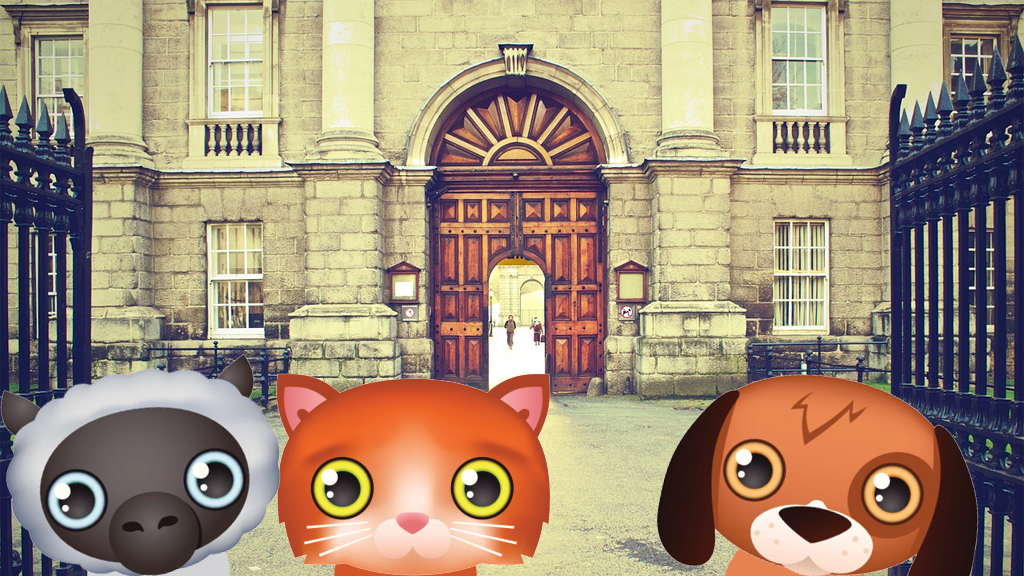 Stage Lights School for ePets a goat a rabbit and a cat epet outside a school