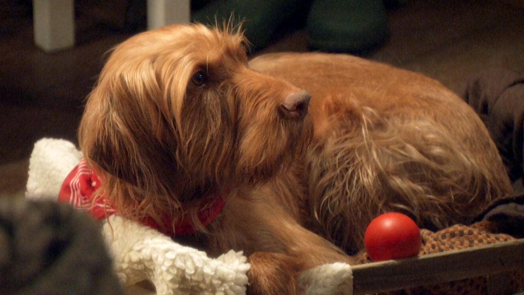 Old Jack's Boat CBeebies BBC