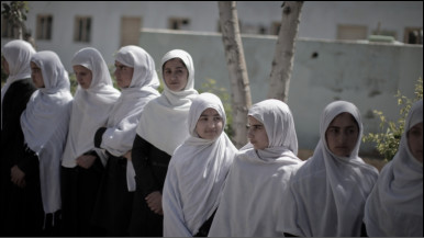 Trans boss porno video