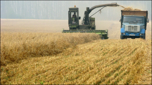 Vannaxonada oyoq yalash porno