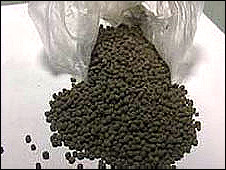 Anjelika Abbi bilan jinsiy aloqa