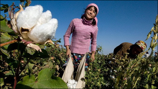 Ular katta nipellarni tishlashadi
