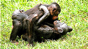 Yalangoch poyezd konduktorlarining shaxsiy surati Olga Tsybulskaya bilan porno