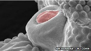 Жетілген әйелдермен секс-порно әңгімелер