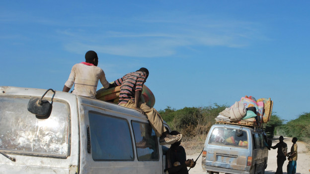 Yalangoch ona, tubi yoq