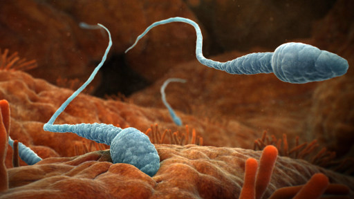 Tez onanizm porno Yosh qozoq ayollarning porno suratlari