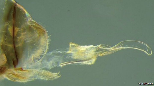 Biz jinsiy aloqada boldik Xotinim jinsiy ayol.