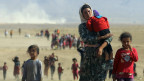 Refugiados yazidis no Iraque. Credito: Reuters