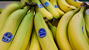 Bananas Chiquita