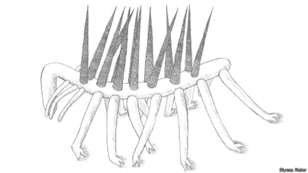 Dibujo de Hallucigenia sparsa