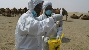 ‮علوم‬ - ‭BBC Arabic‬ - ‮كورونا: السعودية تسعى جاهدة لجعل الحج آمنا من الفيروس‬