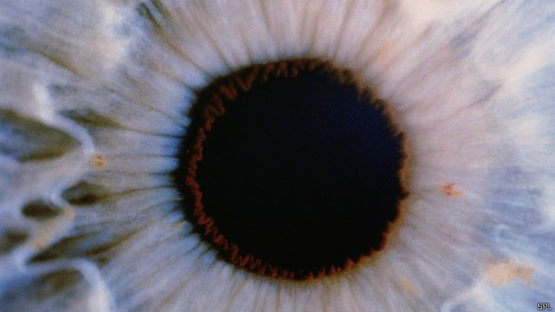 شبكية العين الاصطناعية يمكن أن تكتشف الجسيمات شبه الذرية
