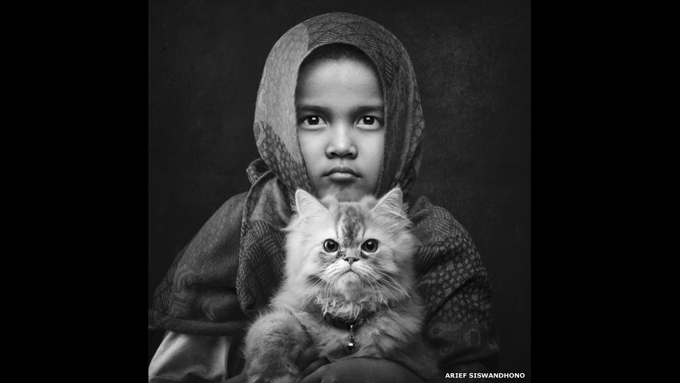 Olmaotada er-xotin jinsiy aloqa qilish uchun ayol qidirmoqda. Ayollar eshak porno