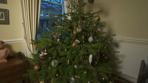 Árbol de Navidad