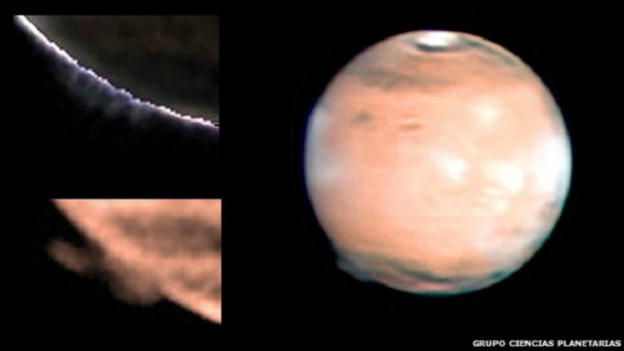 Gigaporn eshakni yalayapti