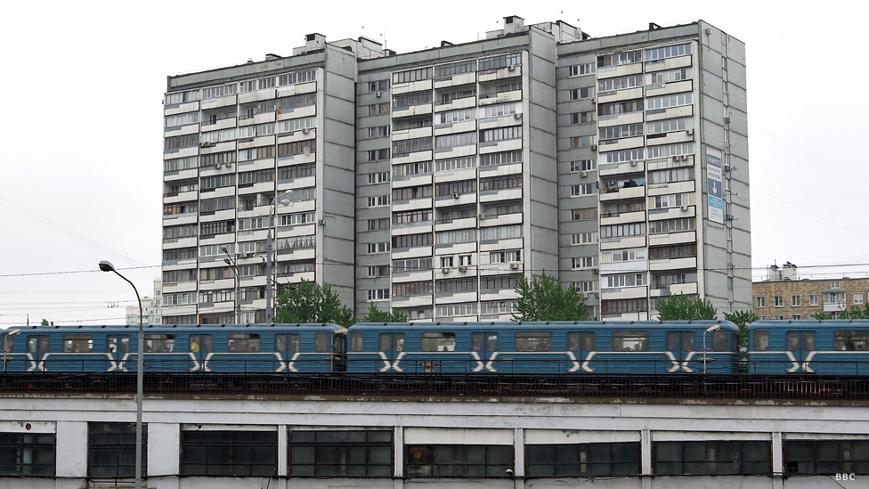 Lezbiyen joja dugonasining külotlarini hidlaydi