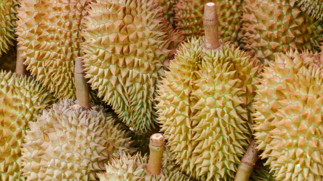 Durian