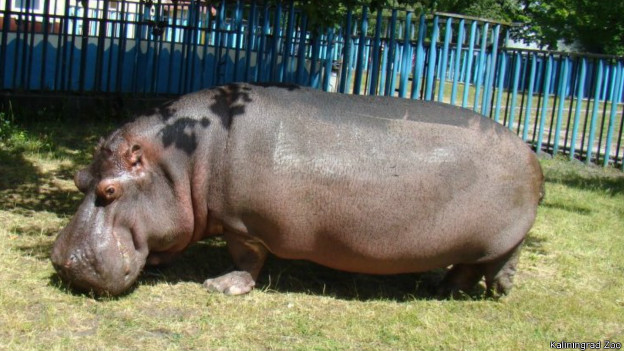 Лара Крофт ойынындағы секс