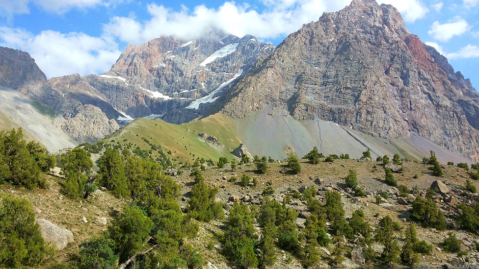 Juda tukli soqollanmagan ayollar publari seks videolari
