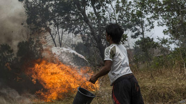 kebakaran hutan