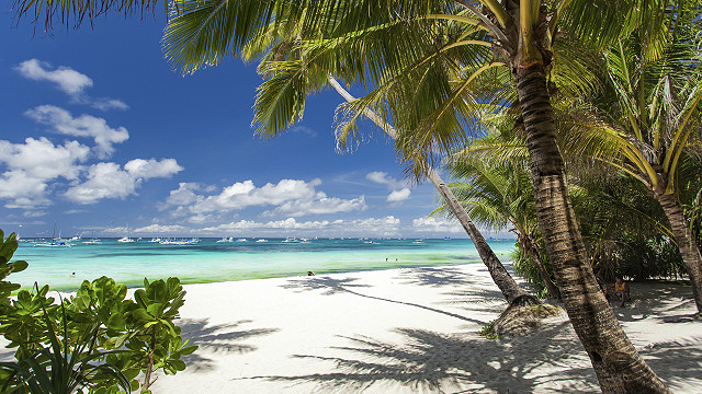 Видеода қызды еріксіз сықылды.