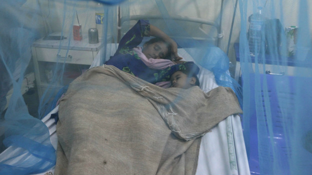 Una mujer y su hijo duermen bajo un mosquitero.