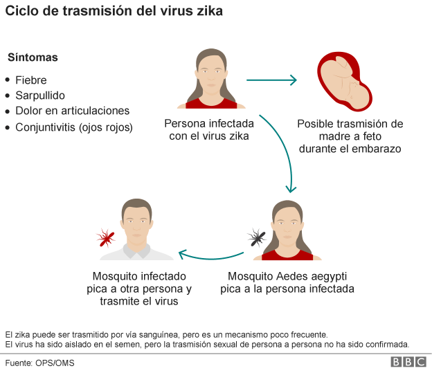 Síntomas del zika