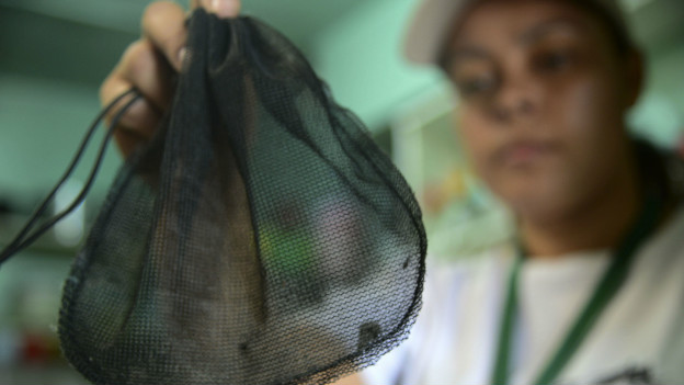 Una mujer sostiene una bolsa con mosquitos Aedes Aegypti, transmisores del zika.