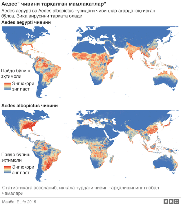 Onam ogliga onlayn jinsiy aloqa, busty sexy berdi