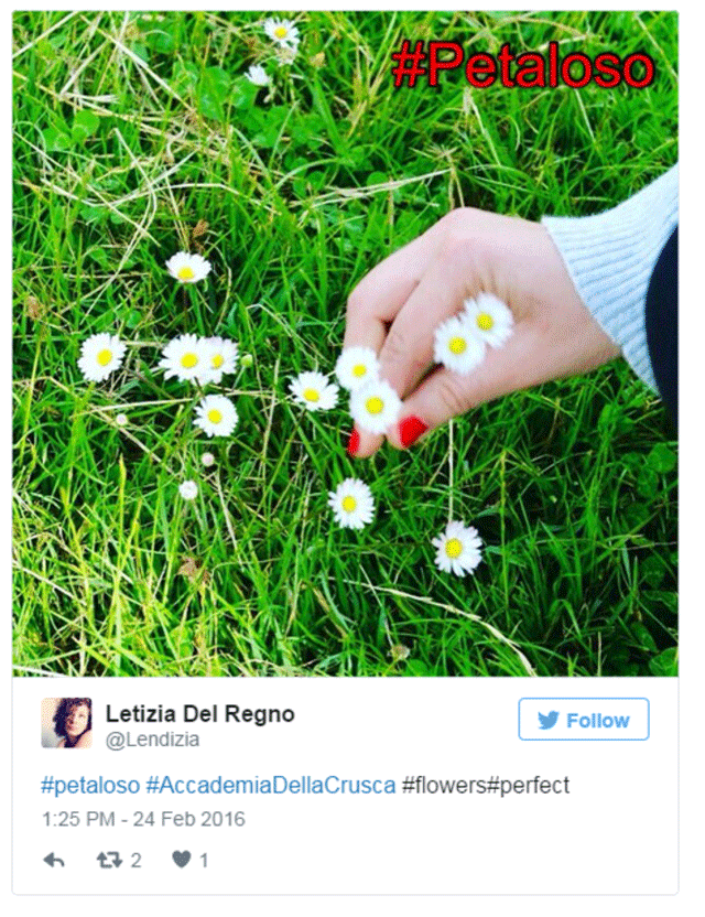 En Twitter #petaloso se utilizó cerca de 40.000 veces.