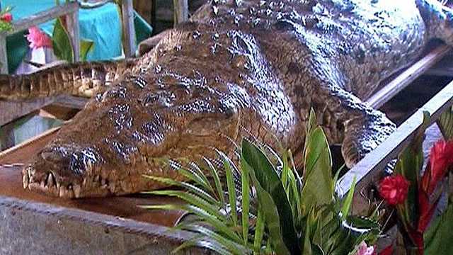 El cocodrilo que fue despedido con un funeral - BBC News Mundo